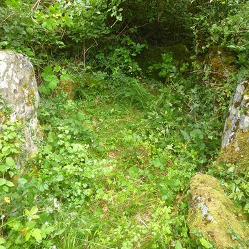 Dolmen de Bois lEvêque