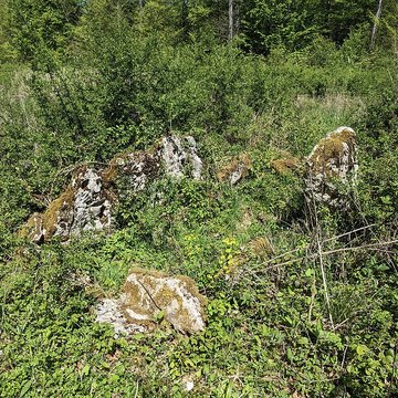Dolmen de Bois lEvêque