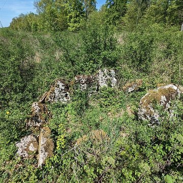 Dolmen de Bois lEvêque