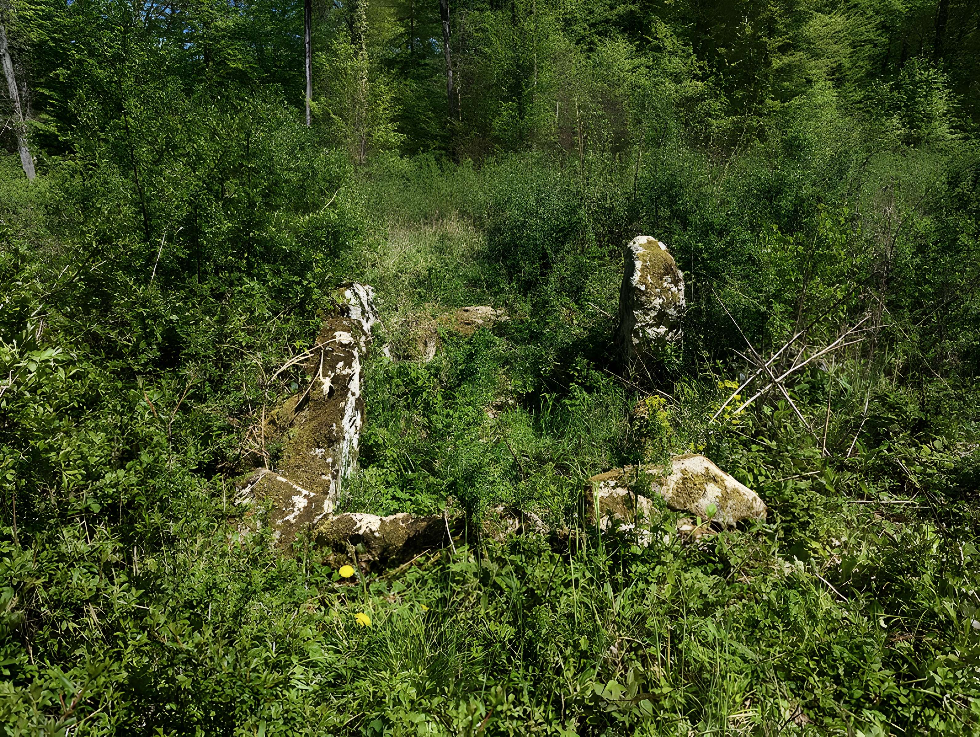 Dolmen de Bois l'Evêque
