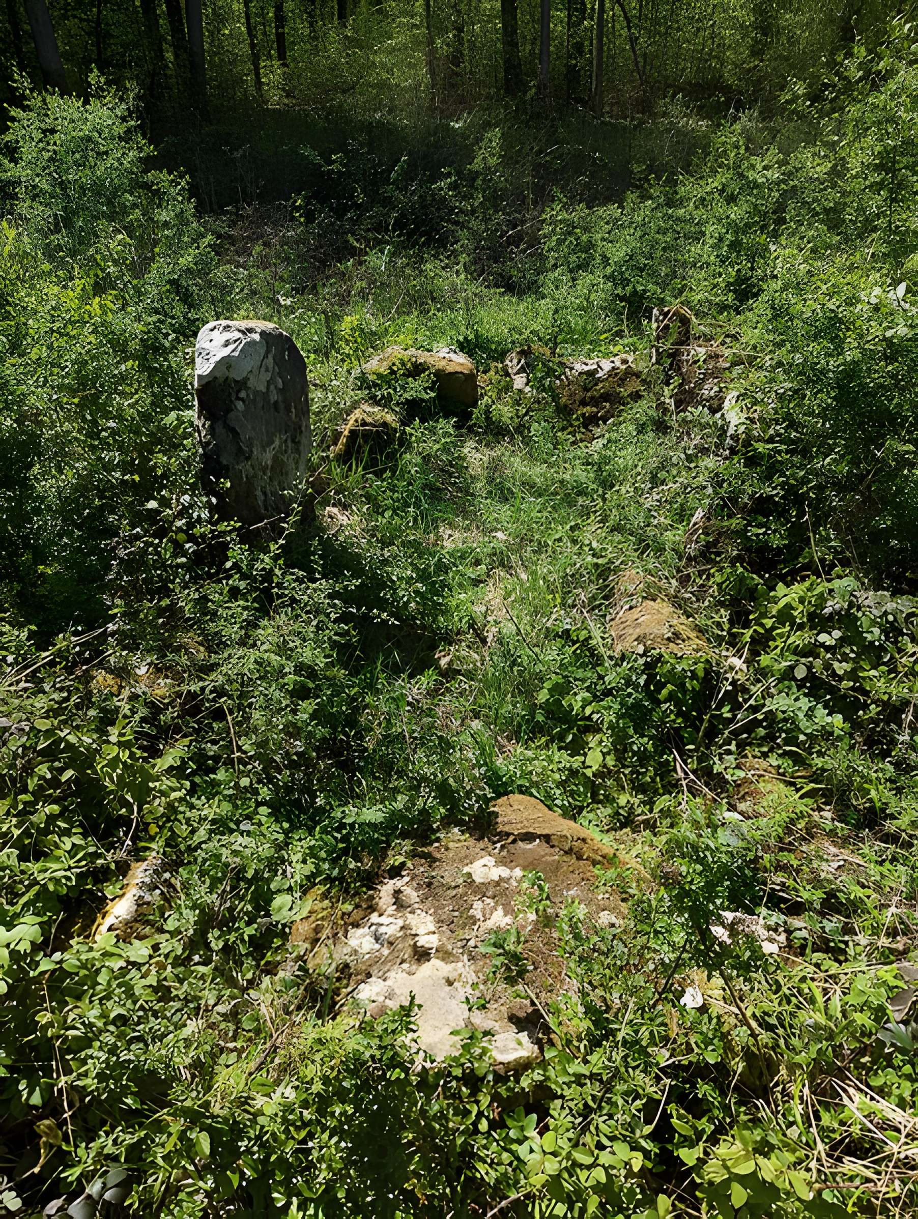 Dolmen de Bois l'Evêque