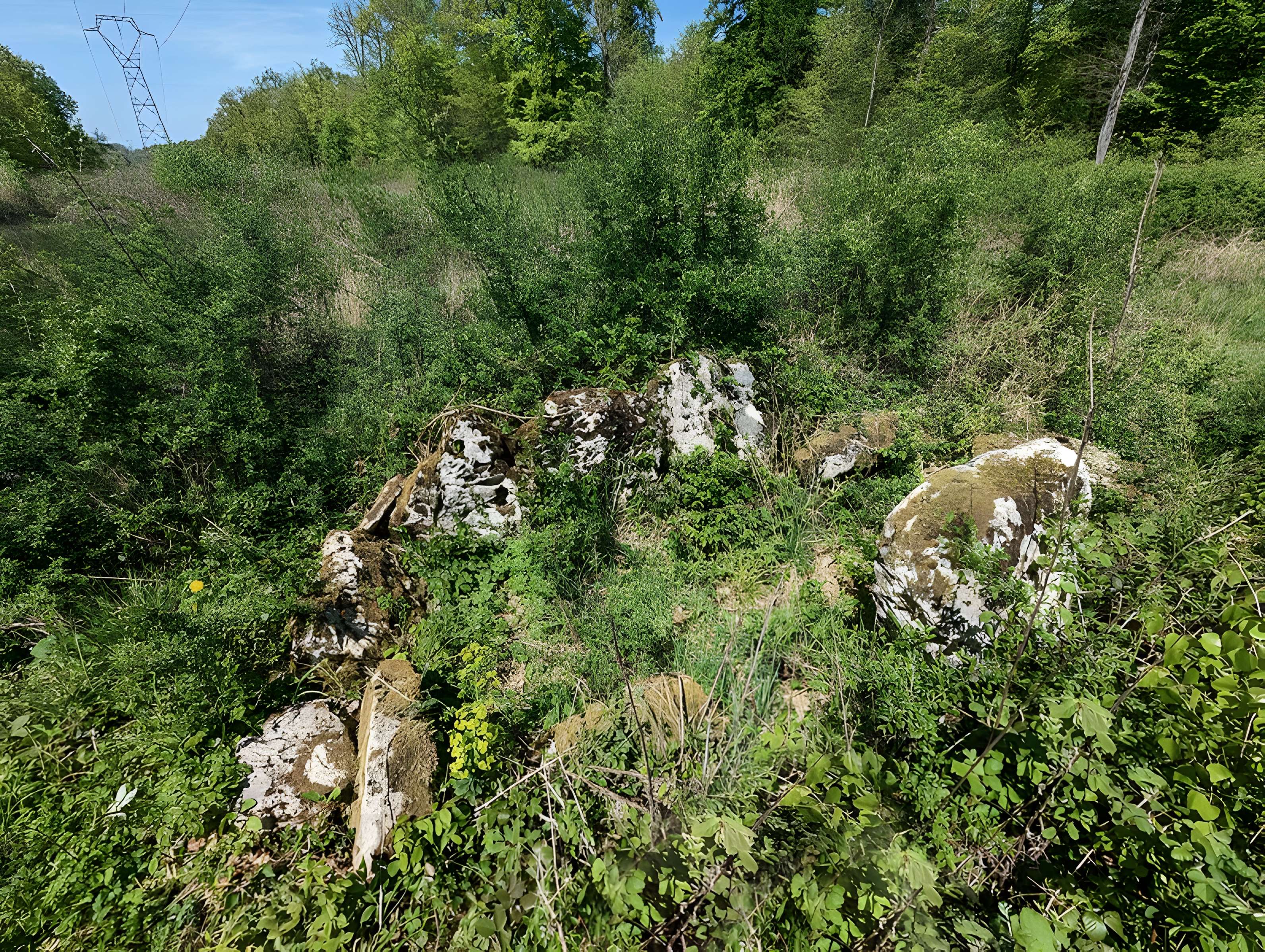 Dolmen de Bois l'Evêque