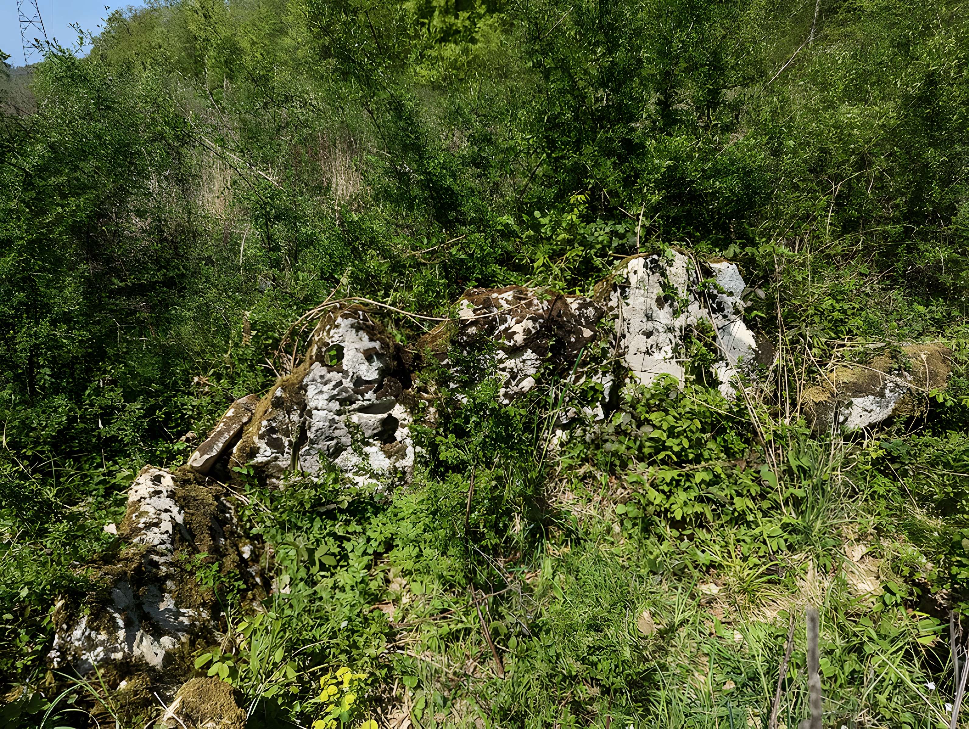 Dolmen de Bois l'Evêque