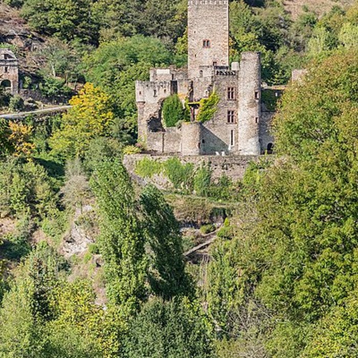 Photo de Château de Belcastel