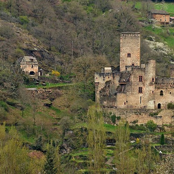 Photo de Château de Belcastel