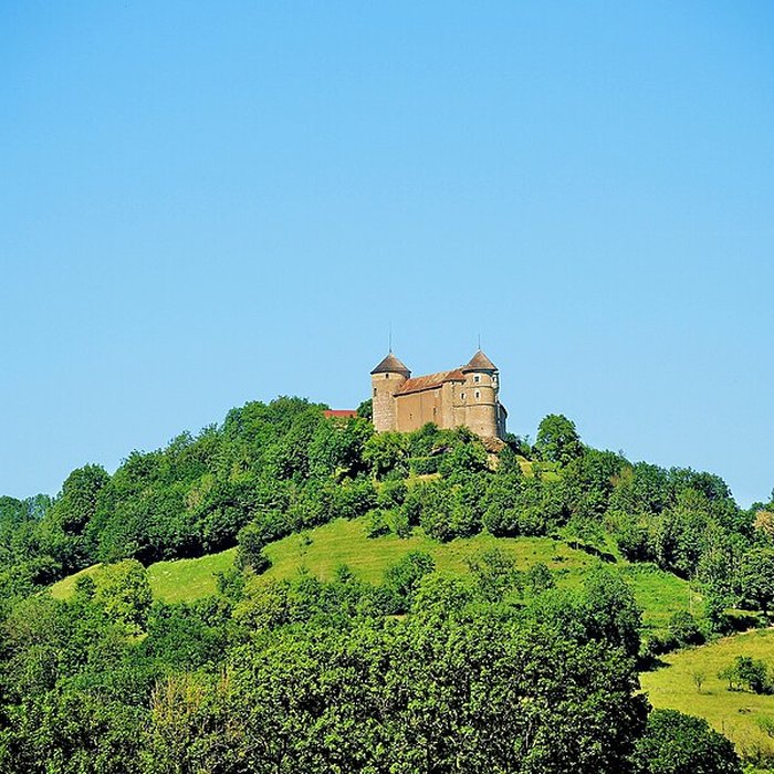 Photo de Château de Belvoir