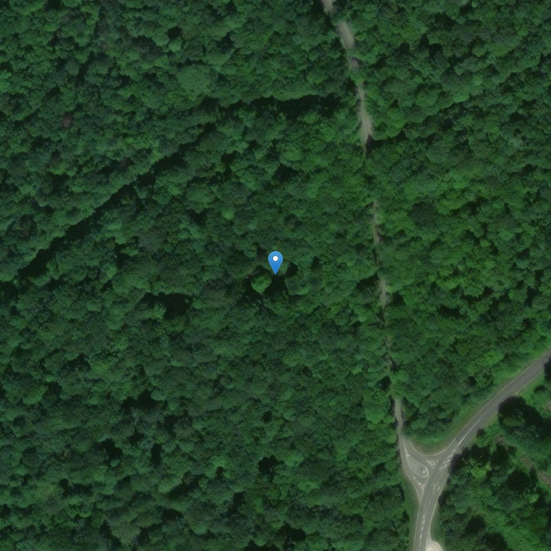 Photo de Puesto de mando del Coronel Driant