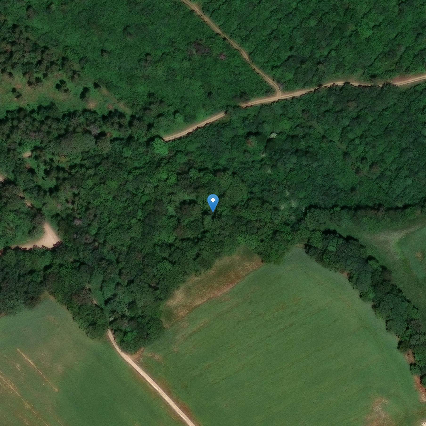 Photo de Dolmen du Ruissard