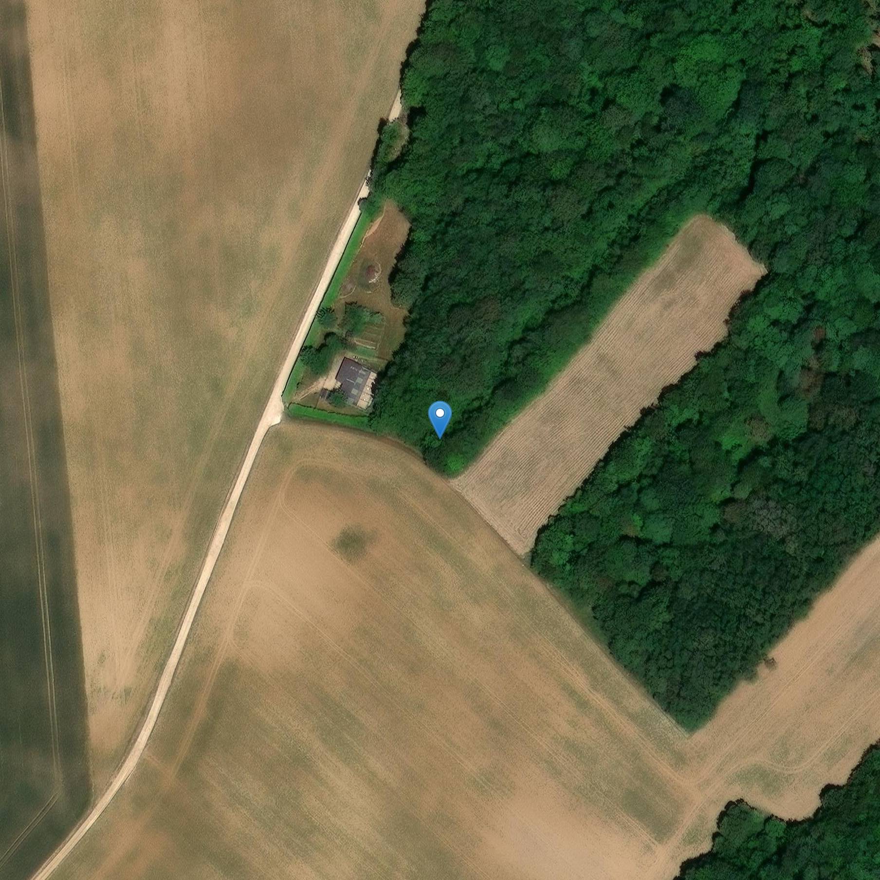 Photo de Menhir Le Corrois