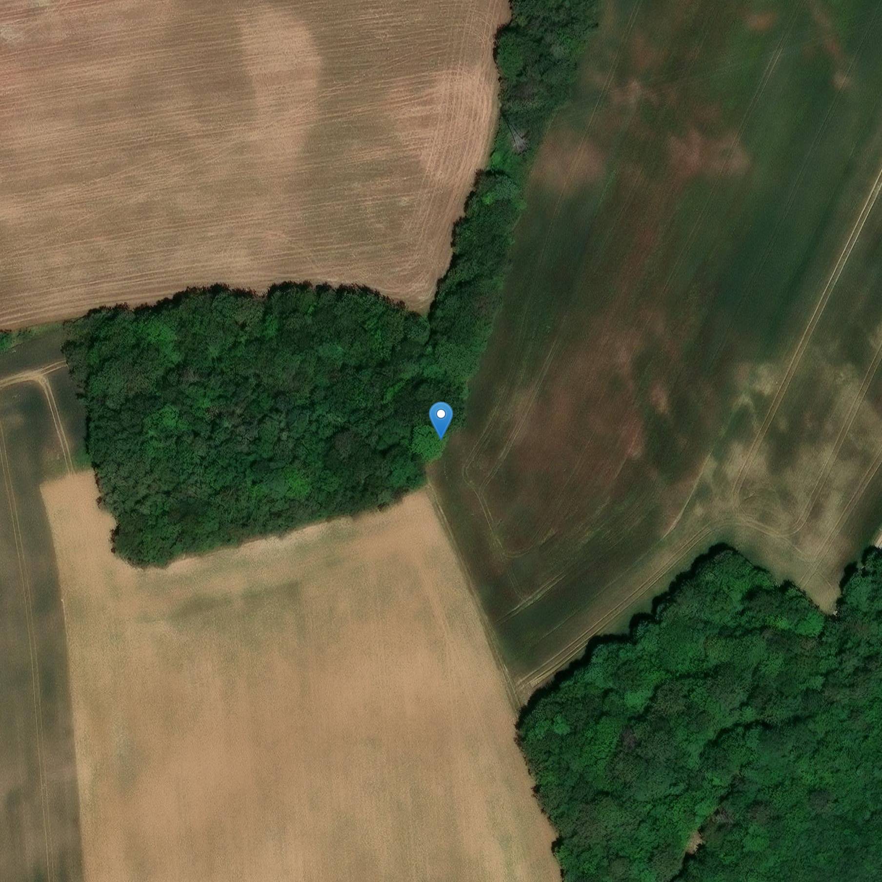 Photo de Menhir de Champ l'Alouette