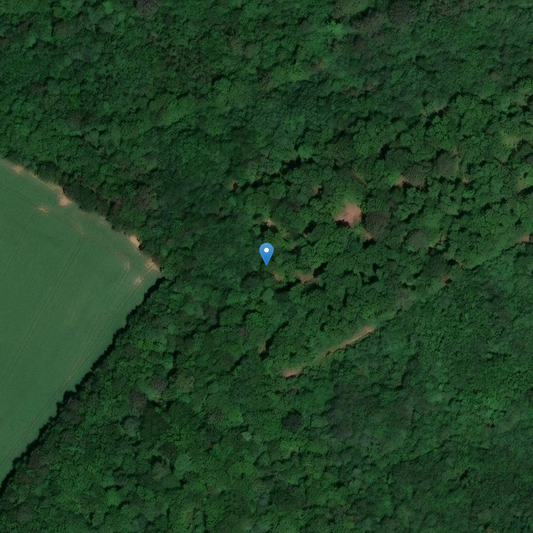 Photo de Menhir de la Goat (ook op de gemeente Tannois)