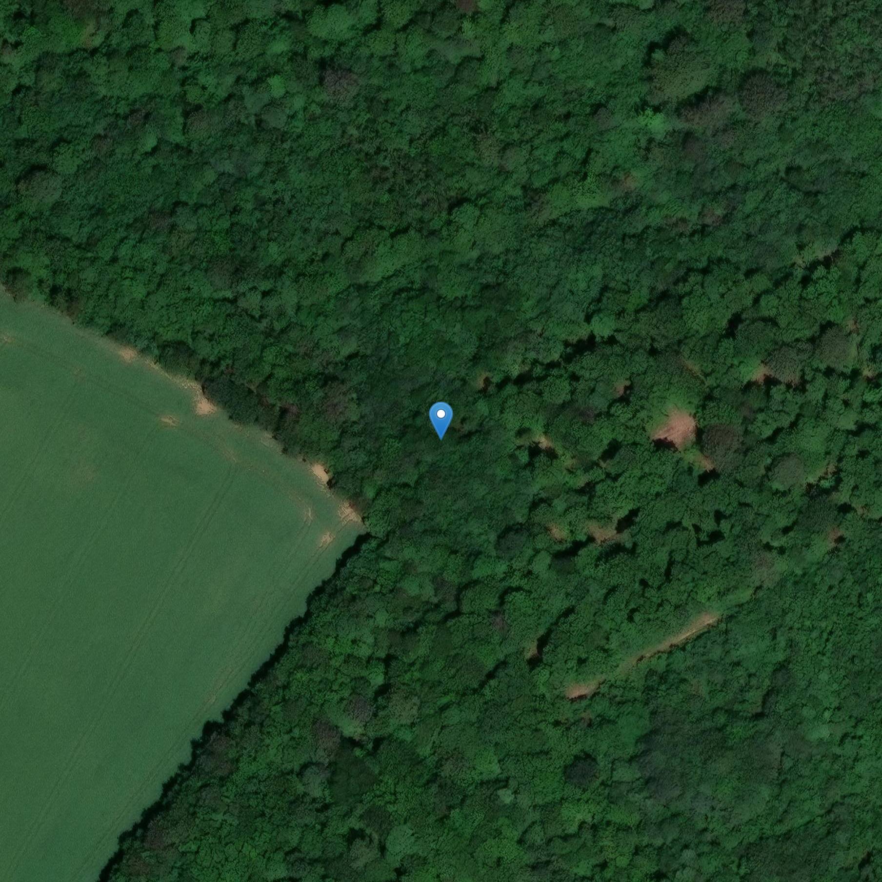 Photo de Menhir de la Queue (auch auf der Gemeinde Tannois)