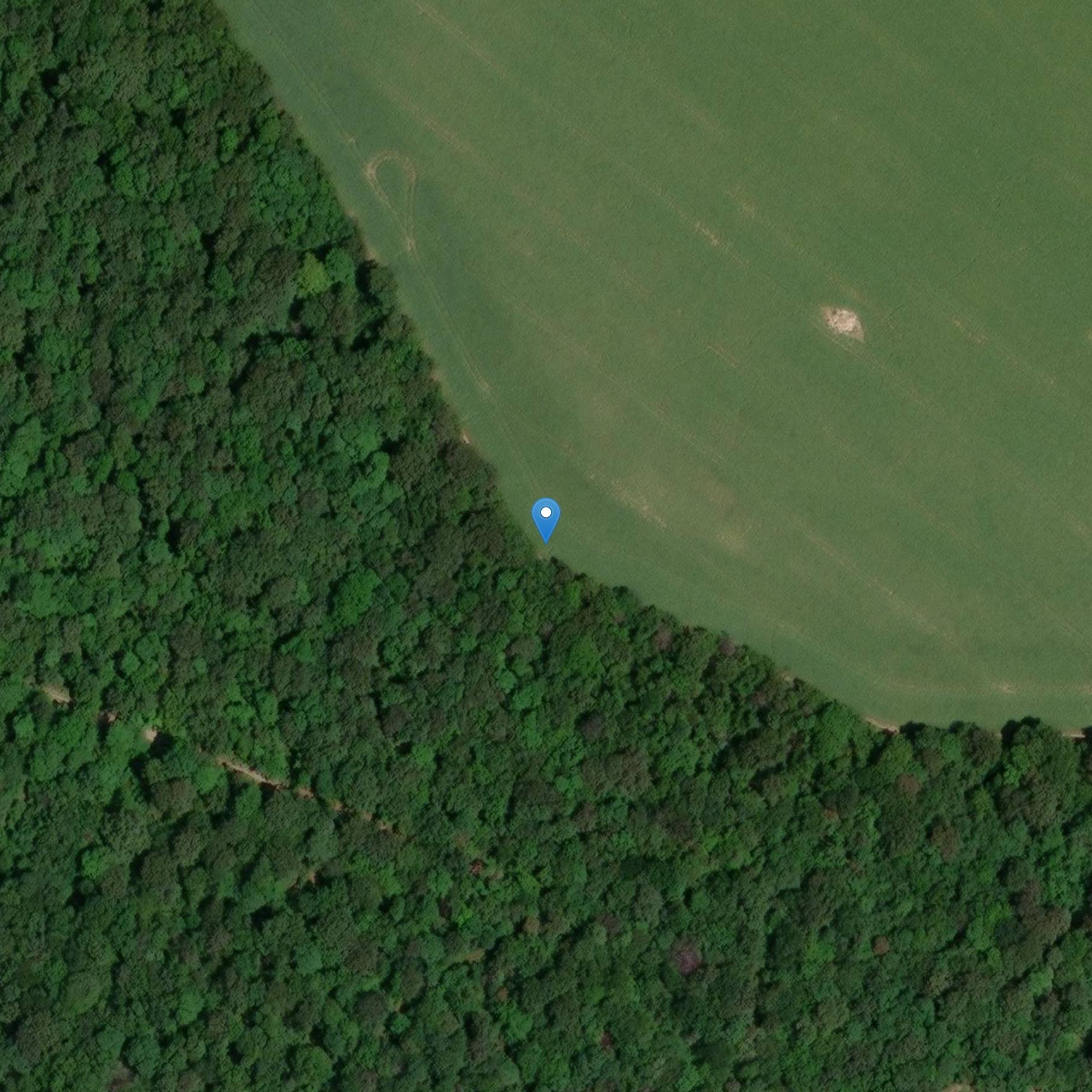 Photo de Menhir says the Lady Schonne