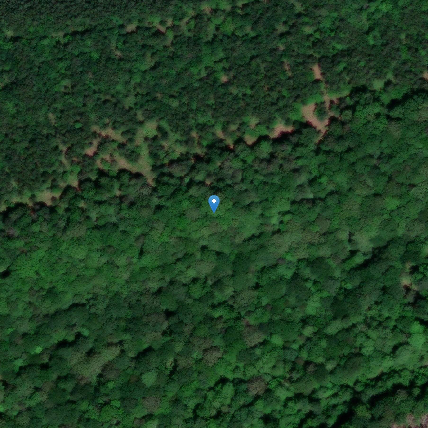 Photo de Site archéologique de Waly