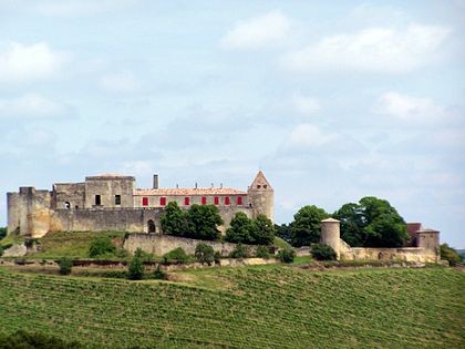 Photo de Château de Benauge