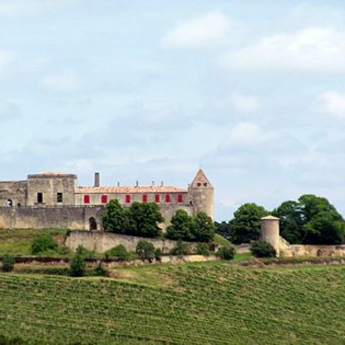 Photo de Château de Benauge