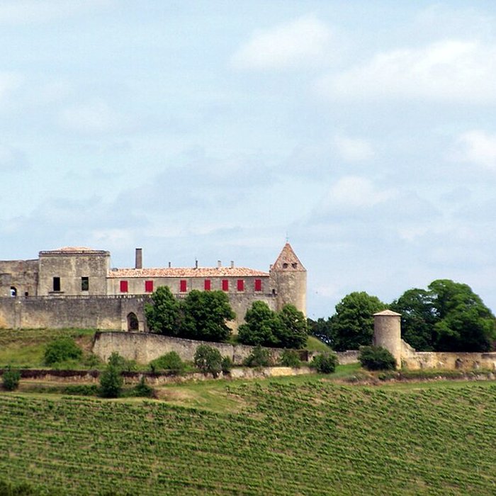 Photo de Château de Benauge