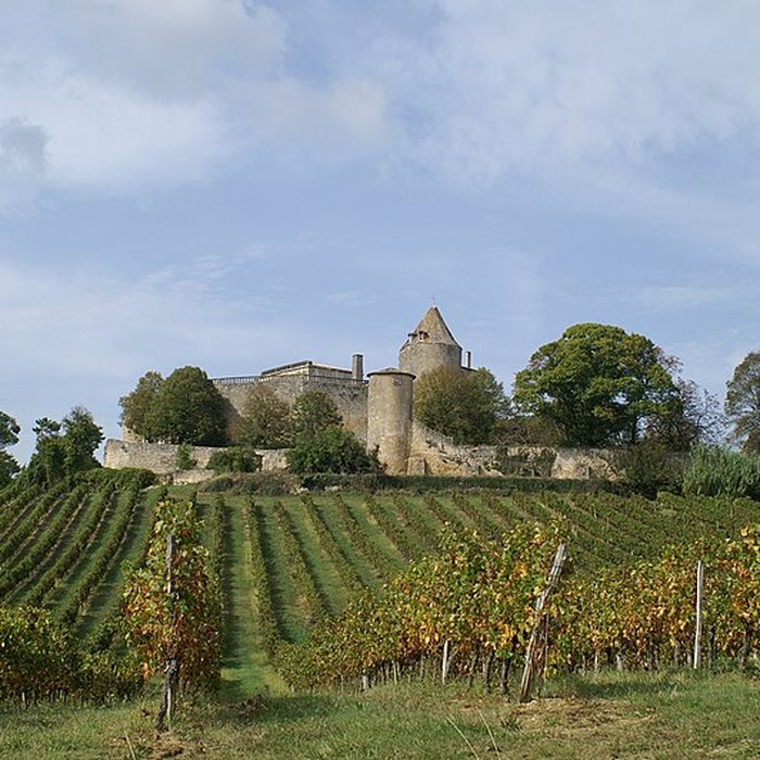 Photo de Château de Benauge