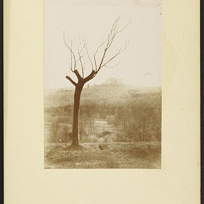 Photo de Château de Benauge