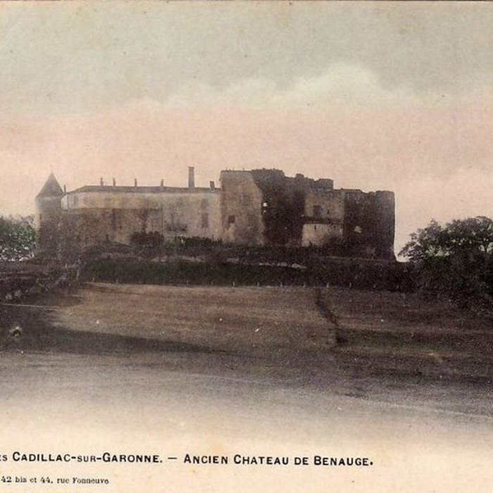 Photo de Château de Benauge