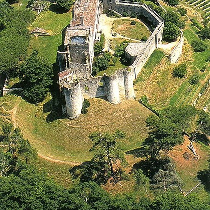 Photo de Château de Benauge