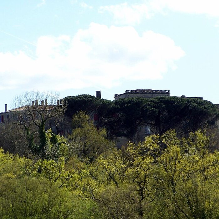 Photo de Château de Benauge