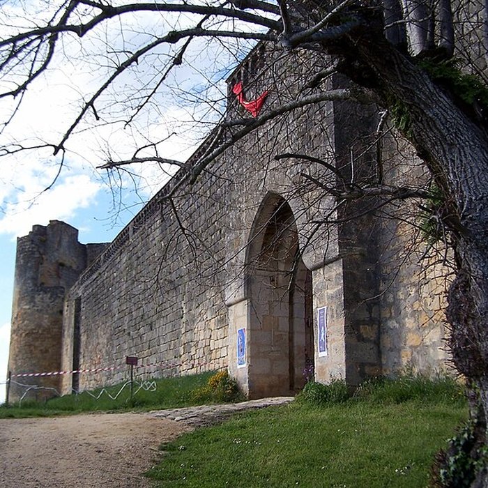Photo de Château de Benauge