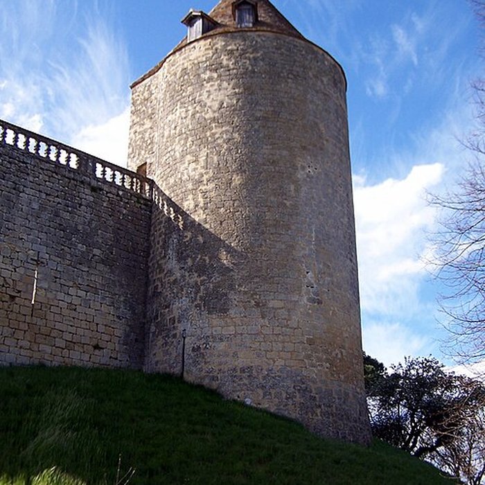 Photo de Château de Benauge