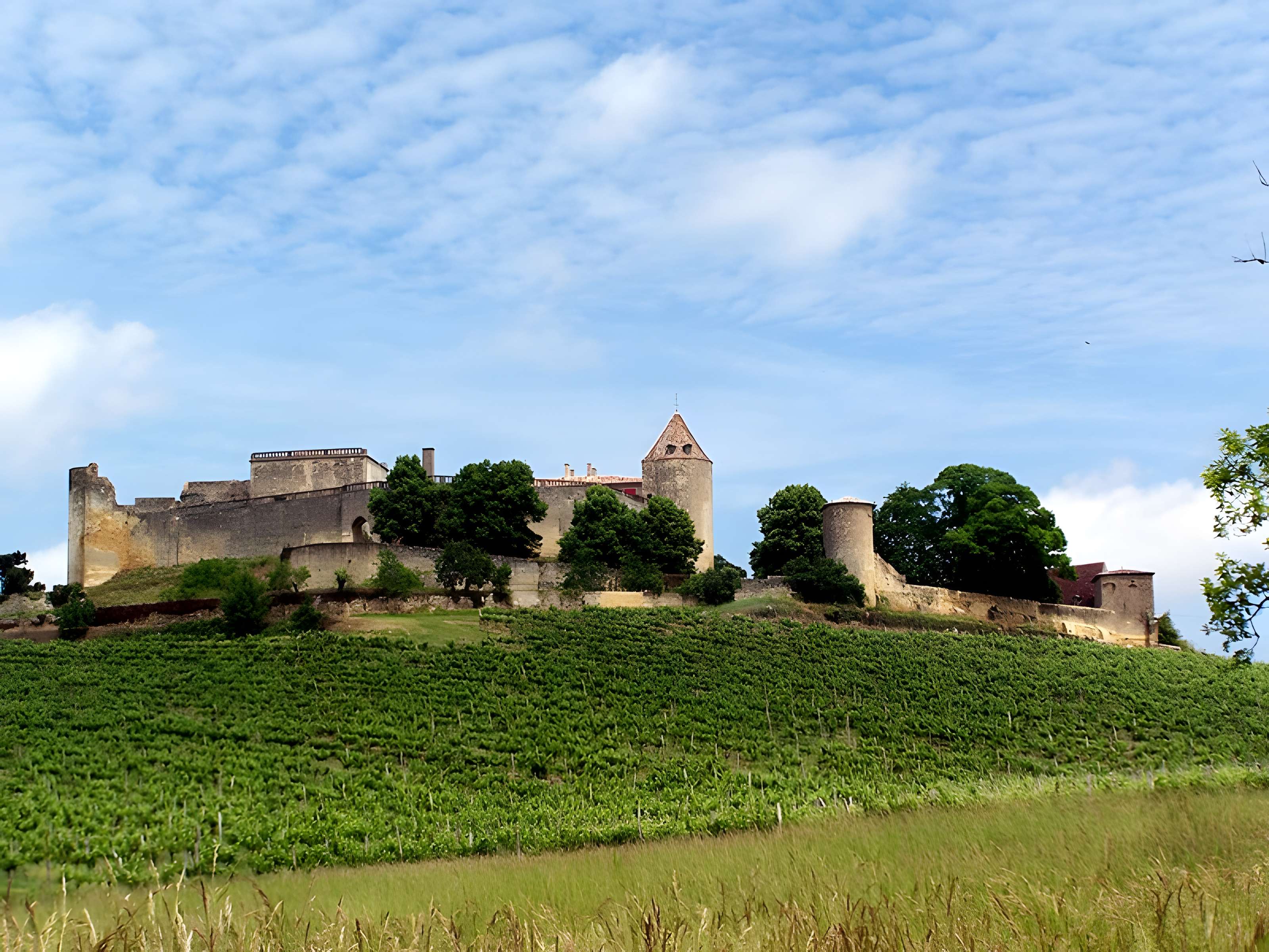 Château de Benauge
