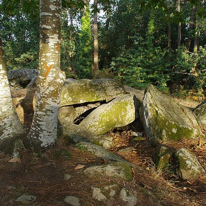 Photo de Dolmen de Mané-Ven-Guen