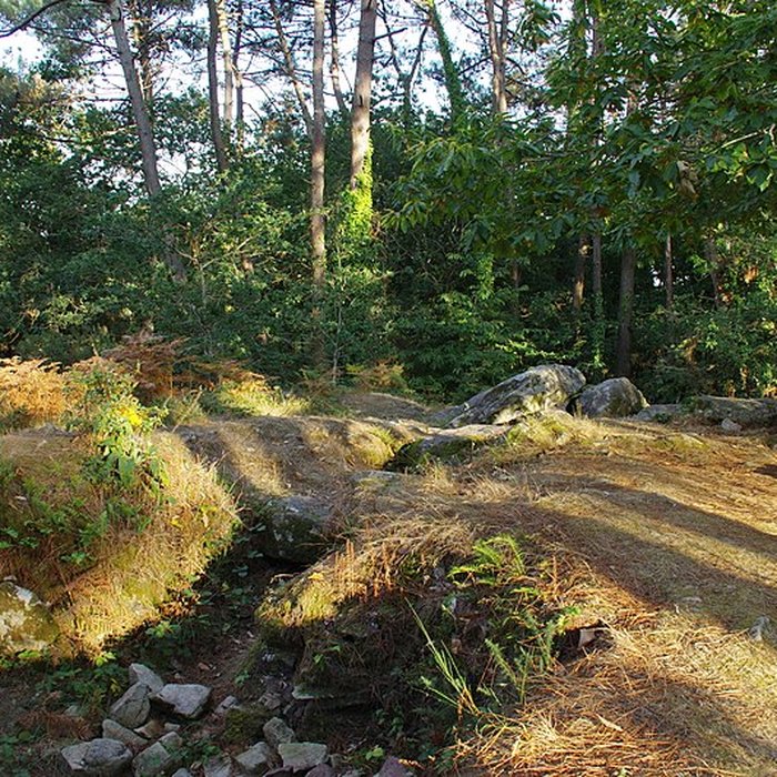 Photo de Dolmen de Mané-Ven-Guen