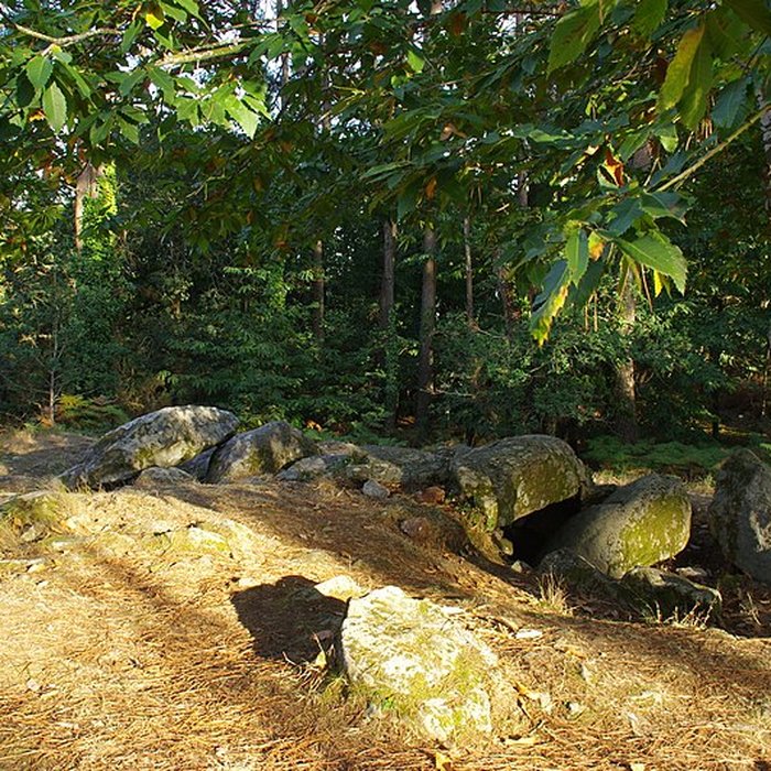 Photo de Dolmen de Mané-Ven-Guen