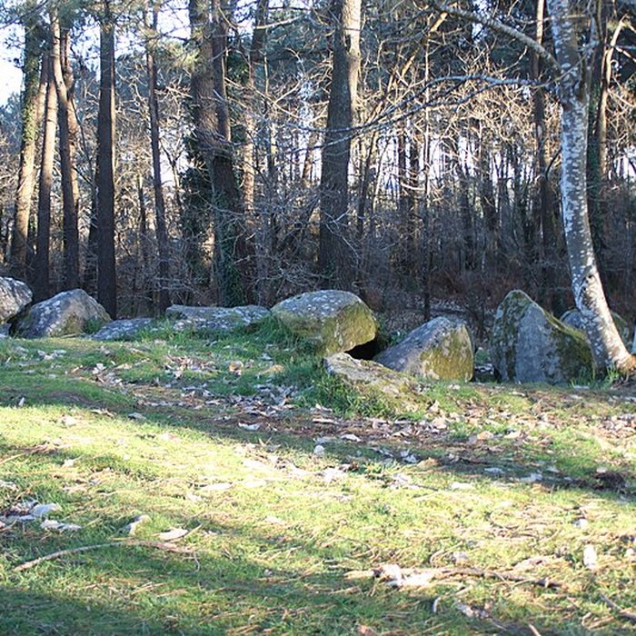 Photo de Dolmen de Mané-Ven-Guen