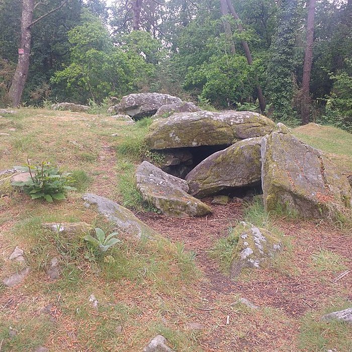 Photo de Dolmen de Mané-Ven-Guen