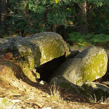 Dolmen de Mané-Ven-Guen