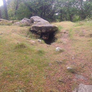 Dolmen de Mané-Ven-Guen