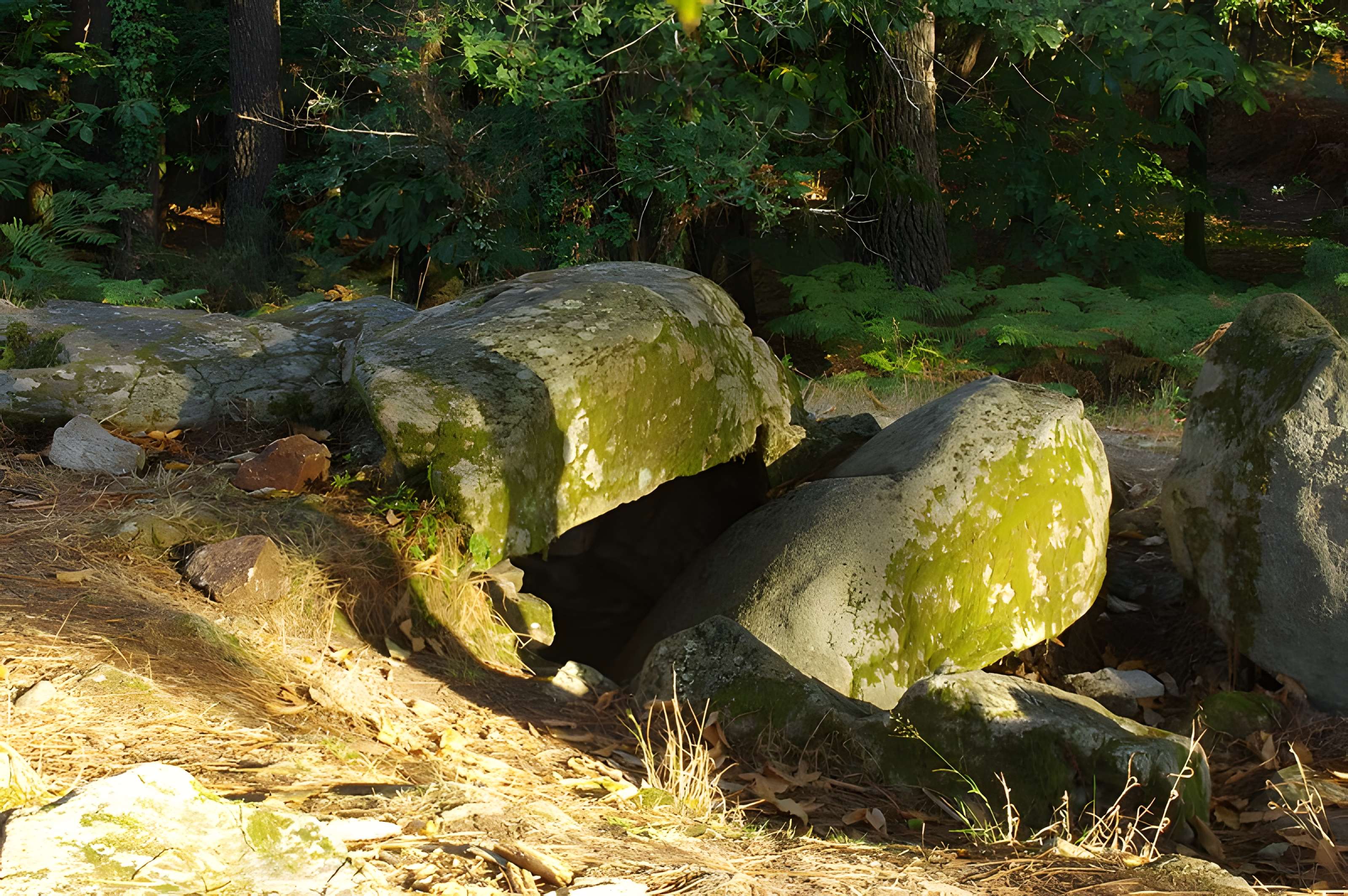 Dolmen de Mané-Ven-Guen