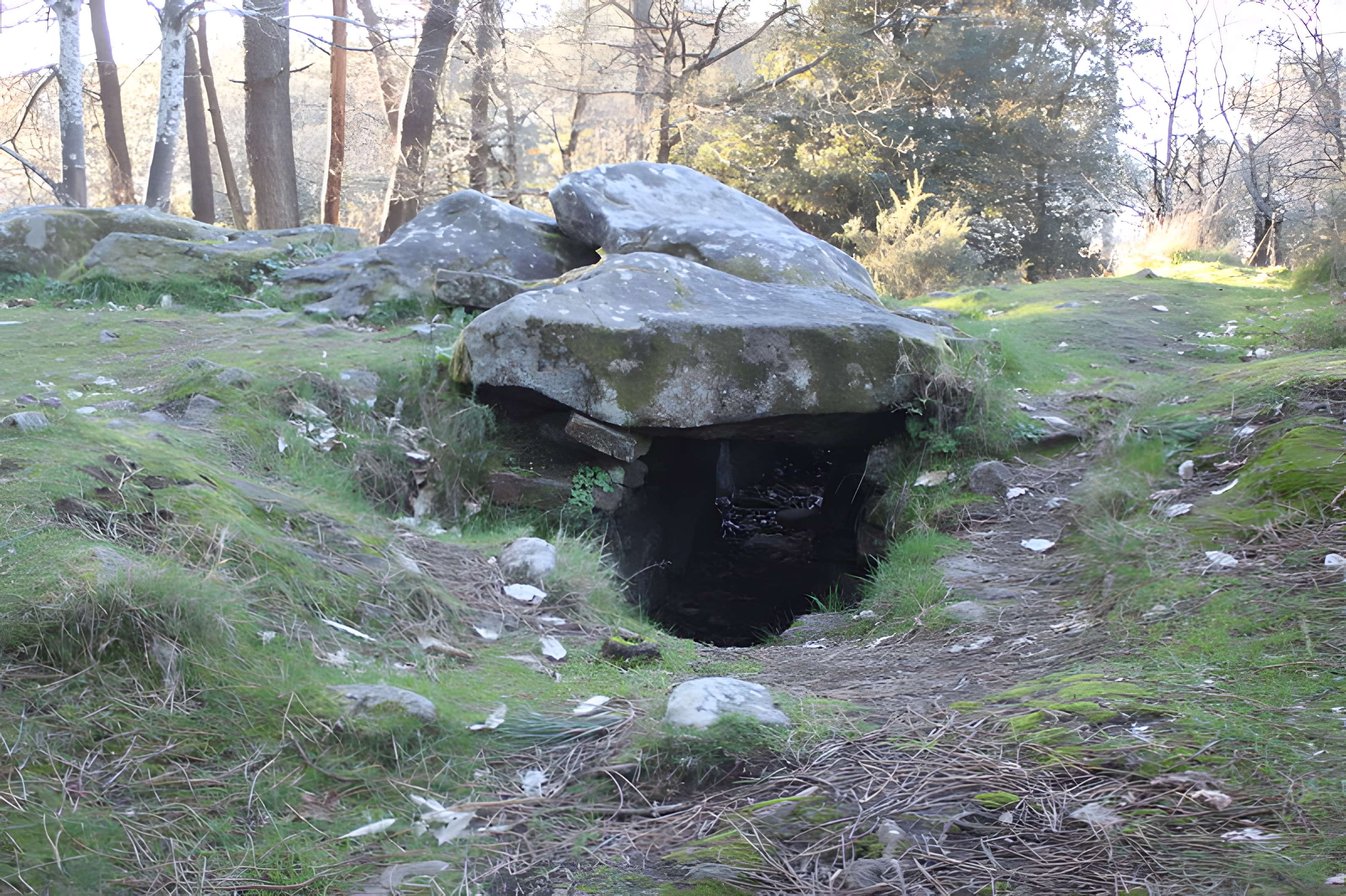 Dolmen de Mané-Ven-Guen
