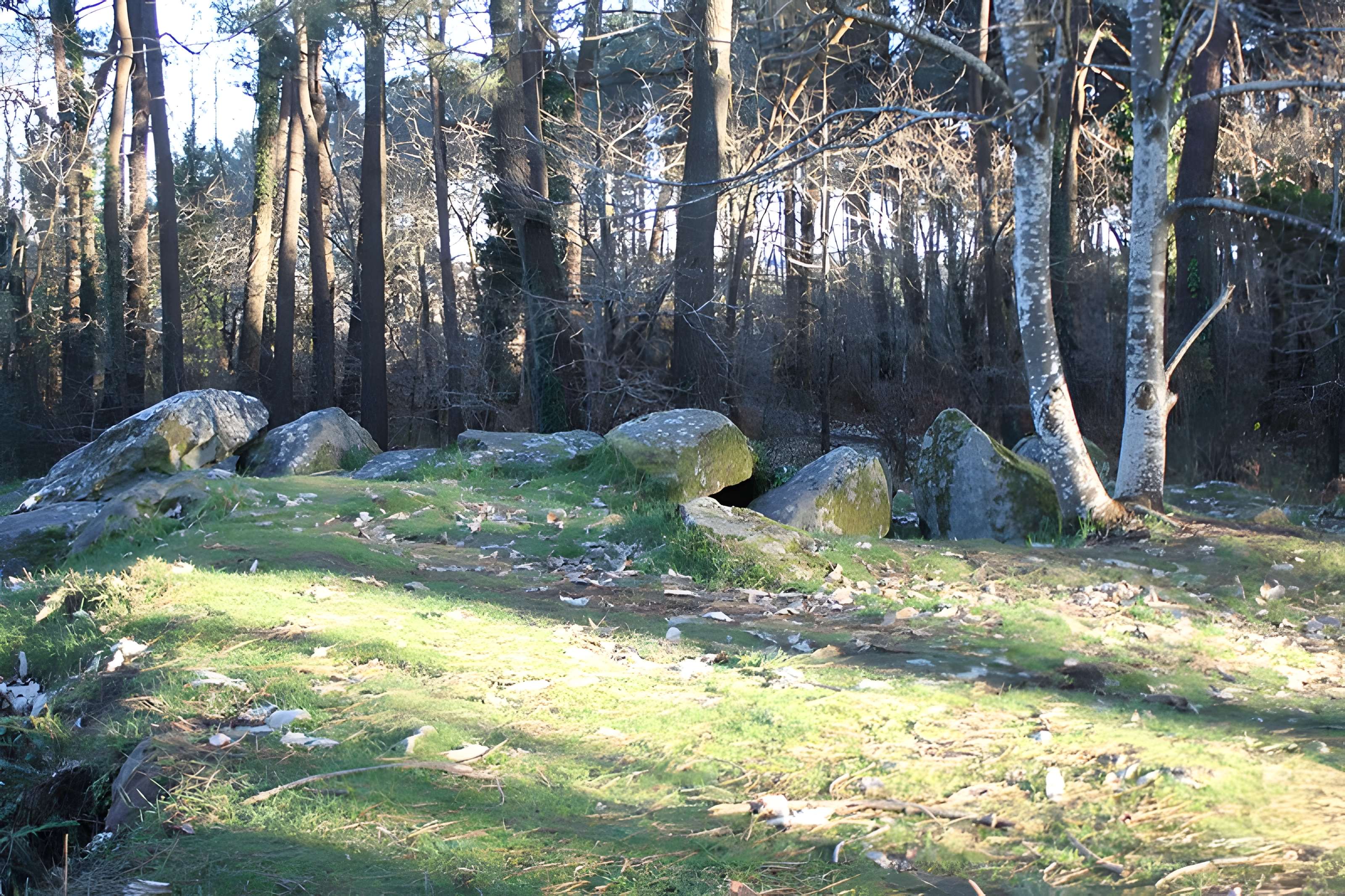 Dolmen de Mané-Ven-Guen