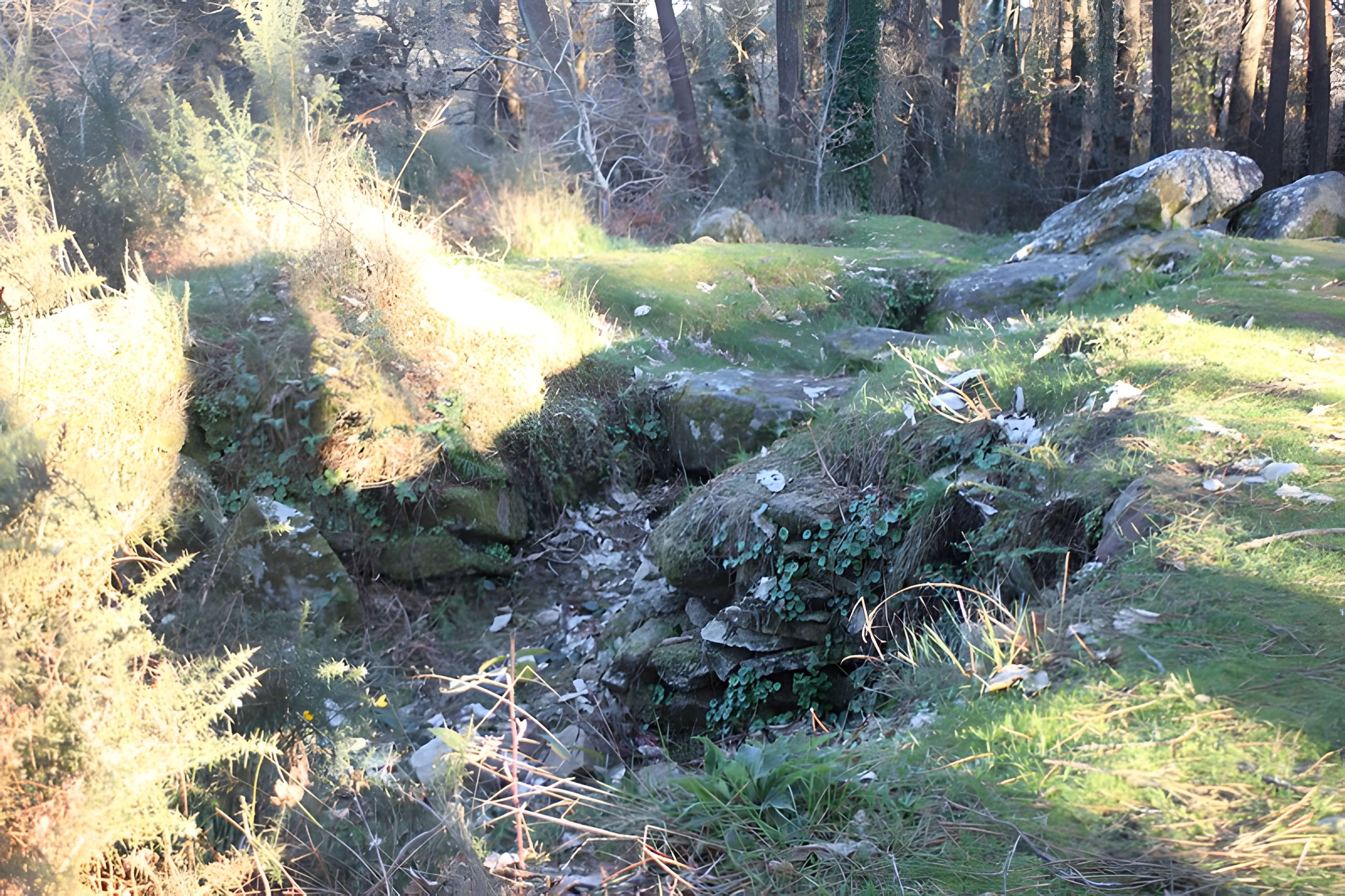 Dolmen de Mané-Ven-Guen