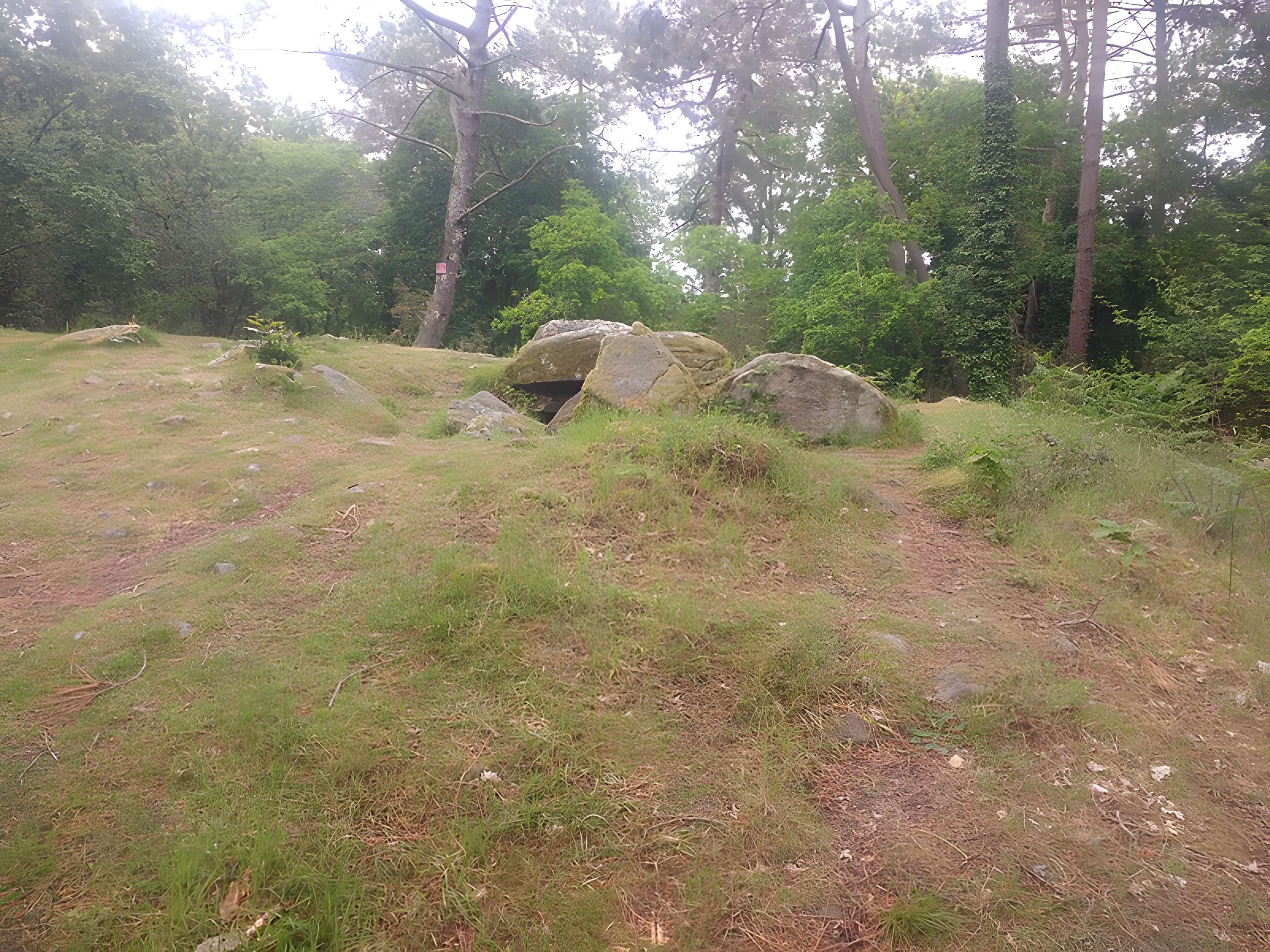 Dolmen de Mané-Ven-Guen