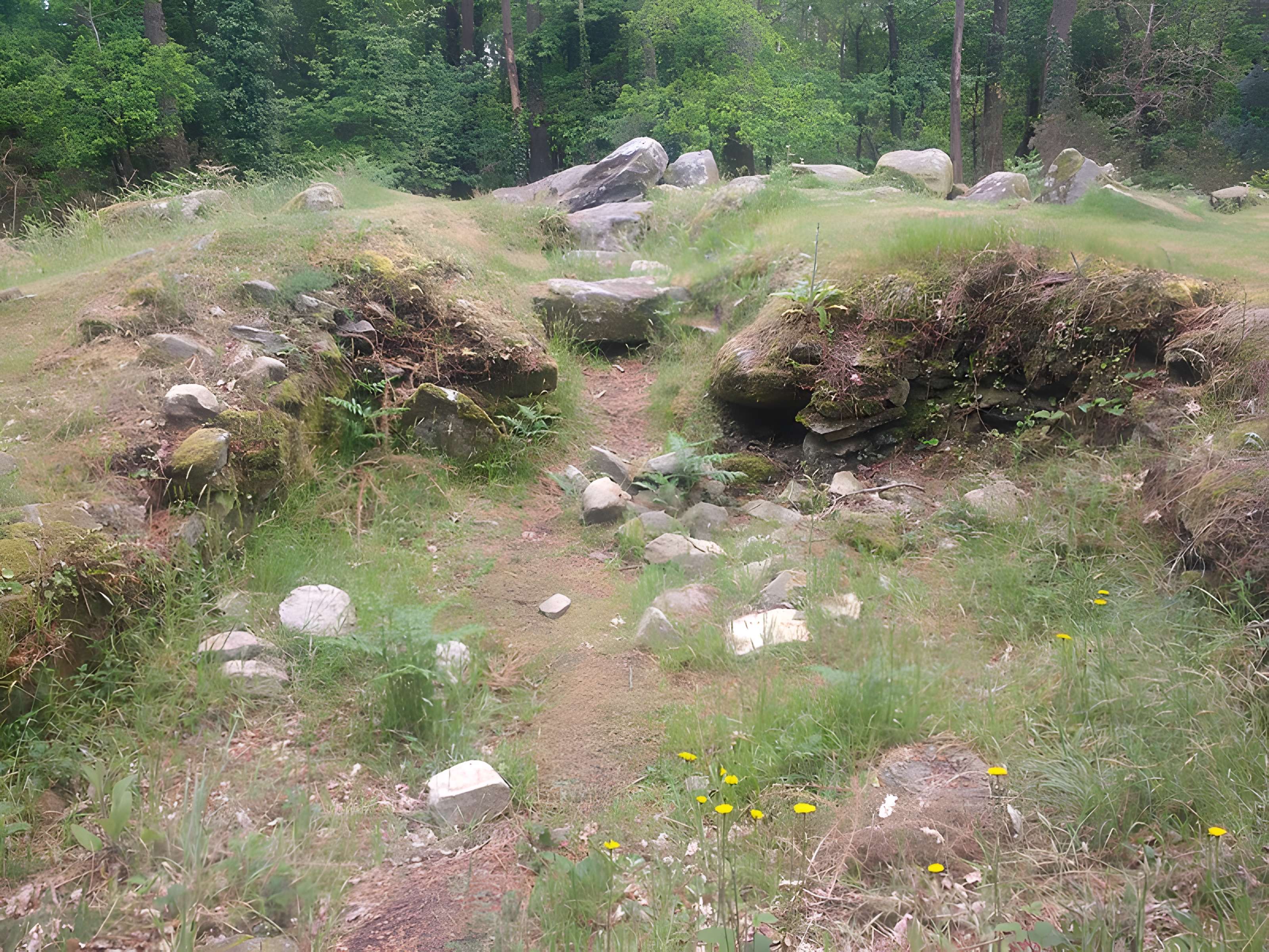 Dolmen de Mané-Ven-Guen