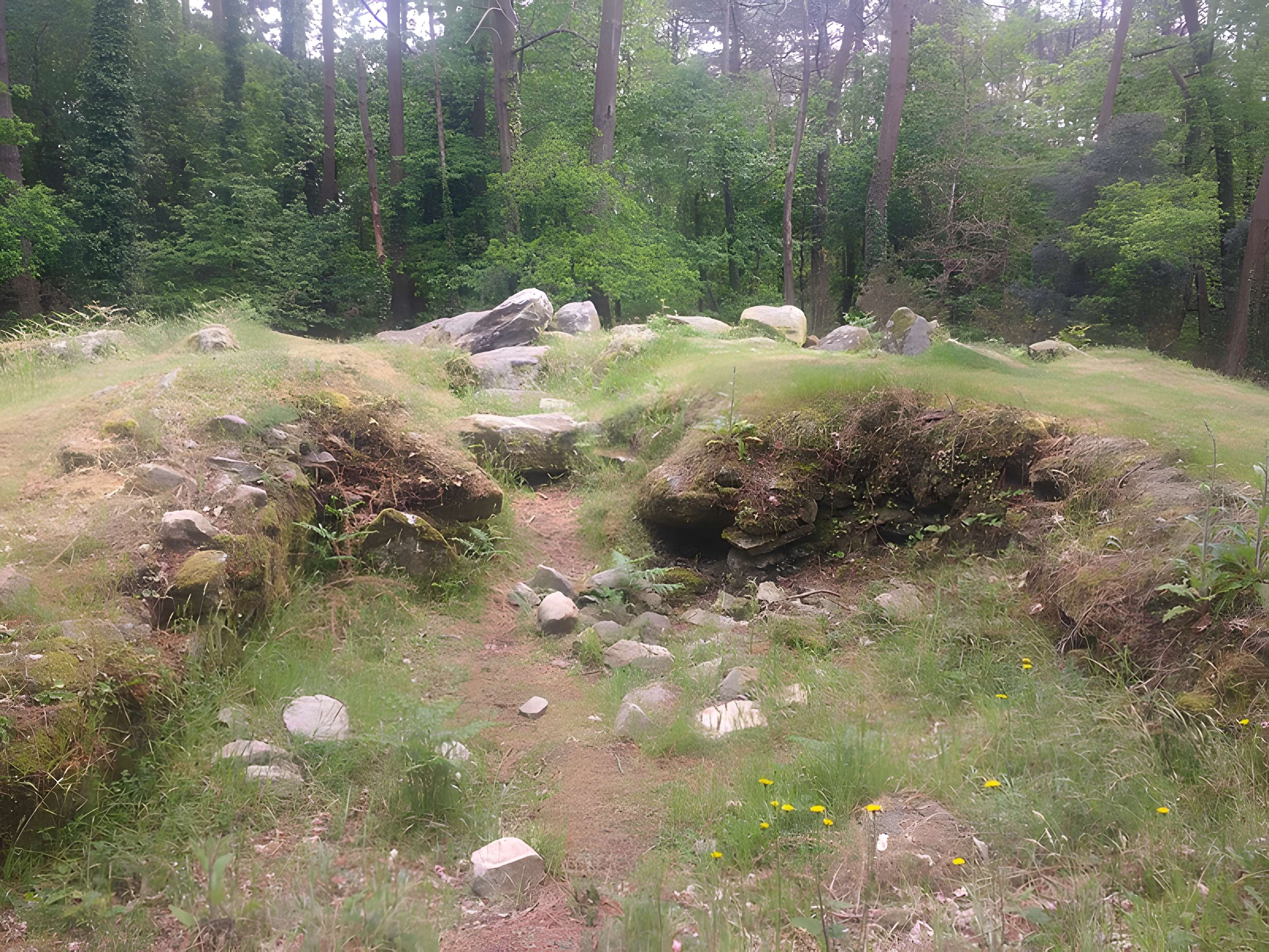 Dolmen de Mané-Ven-Guen