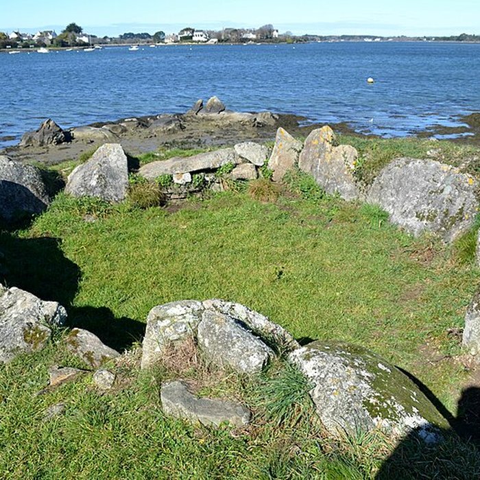 Photo de Dolmen du Moulin-des-Oies