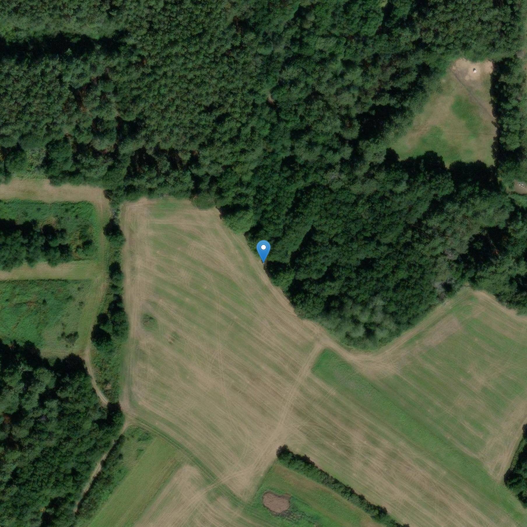 Photo de Menhir du Villionnenec