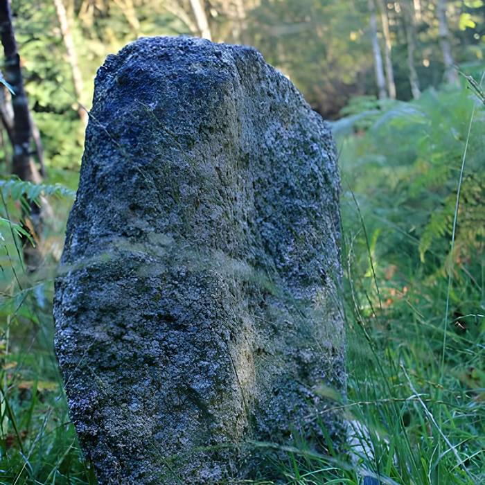 Photo de Alignement de menhirs dans la forêt domaniale de Floranges