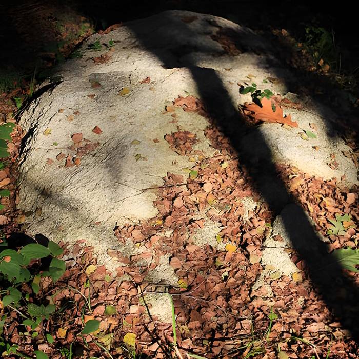 Photo de Alignement de menhirs dans la forêt domaniale de Floranges