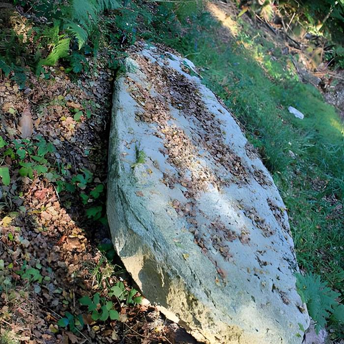 Photo de Alignement de menhirs dans la forêt domaniale de Floranges