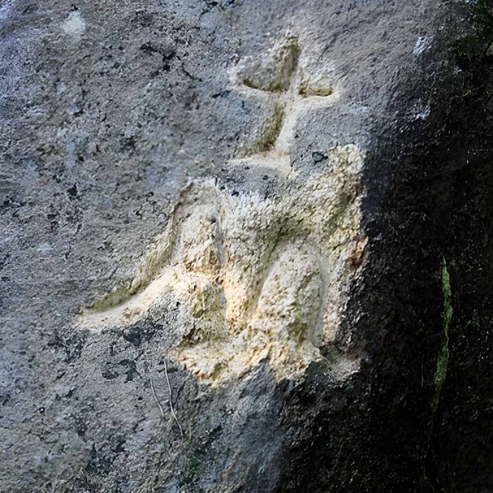 Photo de Alignement de menhirs dans la forêt domaniale de Floranges