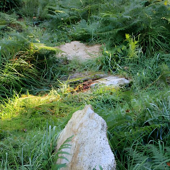 Photo de Alignement de menhirs dans la forêt domaniale de Floranges